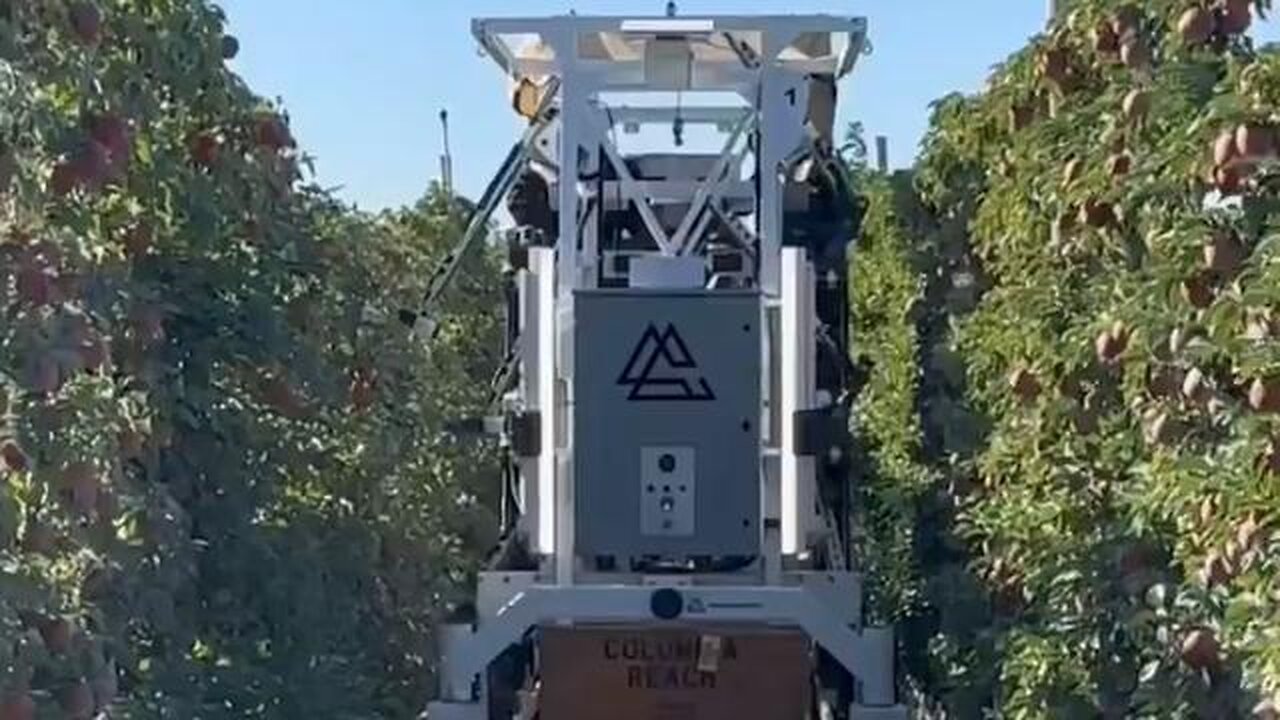 AI assisted robot that identifies ripe apples and picks them