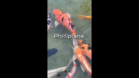 Daily Verse for October 2025