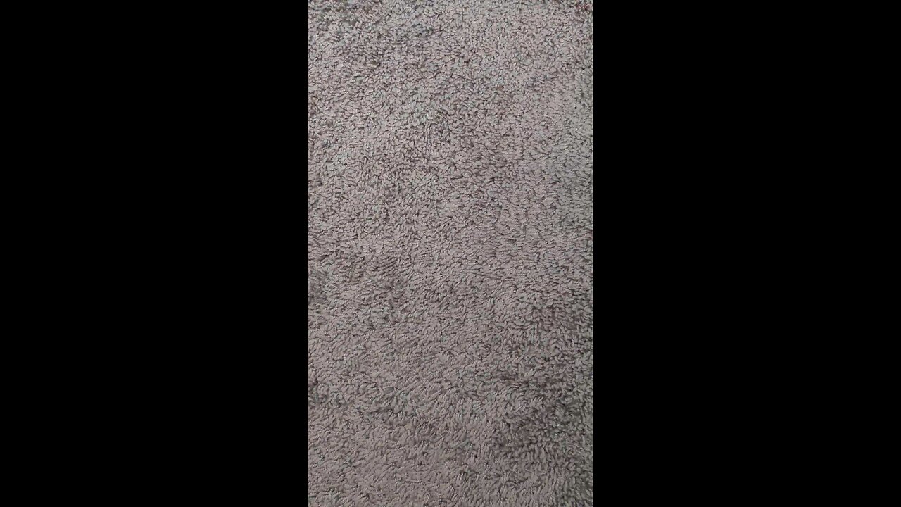 test views label