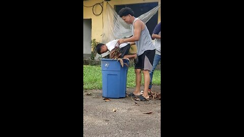 Funny video