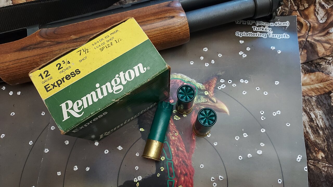 Vintage Remington Express loads, 12 gauge in 2.75" shells loaded with No. 7.5s.