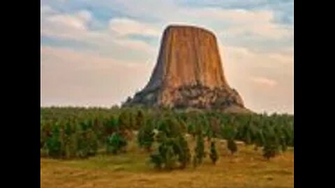 Another Petrified Giant Tree Stump (Microsoft Images)