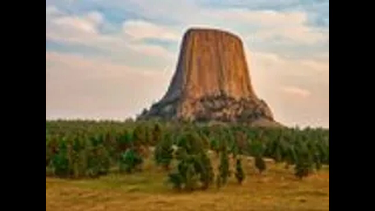 Another Petrified Giant Tree Stump (Microsoft Images)