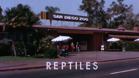 Science in Action: Reptiles (1963)