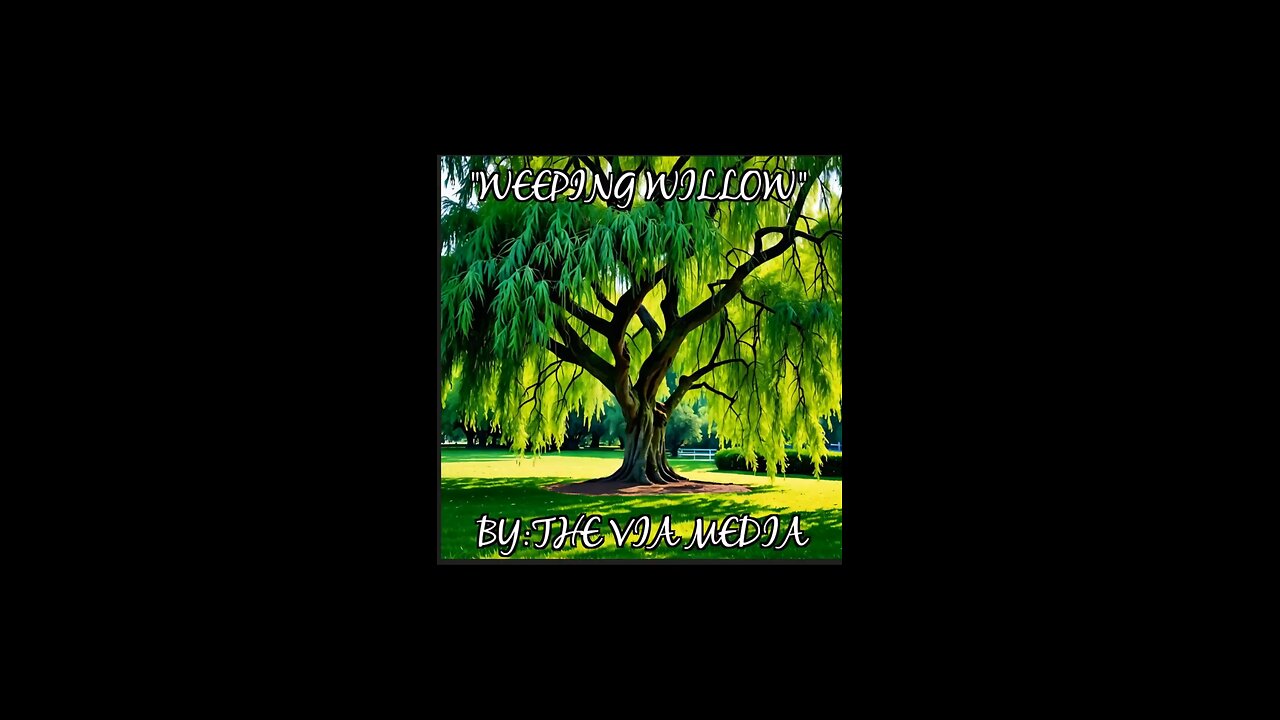 "Weeping Willow " by The Via Media