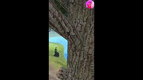 Ganji Chudail ki story Credit to-@majedar_kahani_officialGanji chudaii - birjuaurganjichudel - chu.