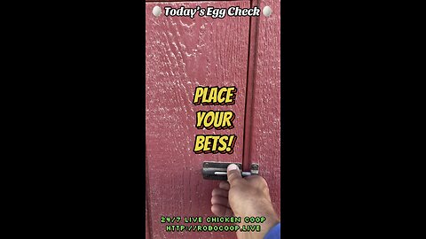 🥚 Today’s Egg Check! 🥚 #shorts