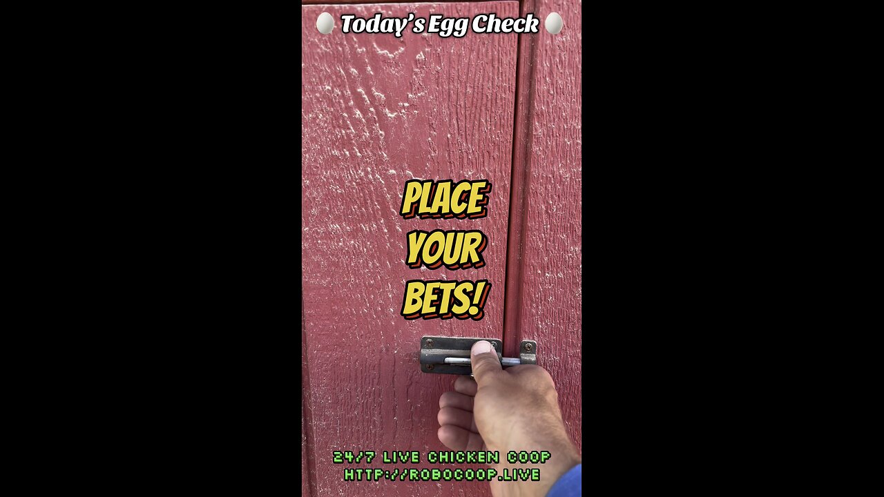 🥚 Today’s Egg Check! 🥚 #shorts