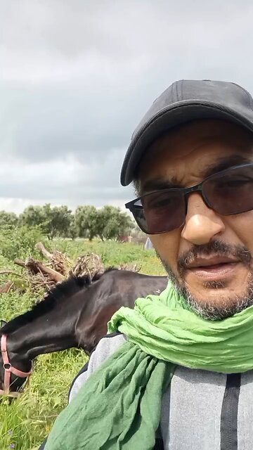 Free speech worldwide (part 1)