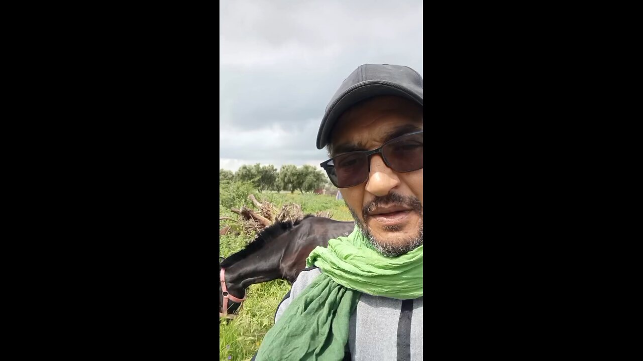 Free speech worldwide (part 1)