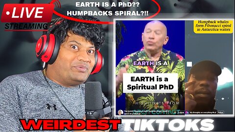 Wild and Strange Tiktok Videos Live Stream with Tedi (pt. 100)