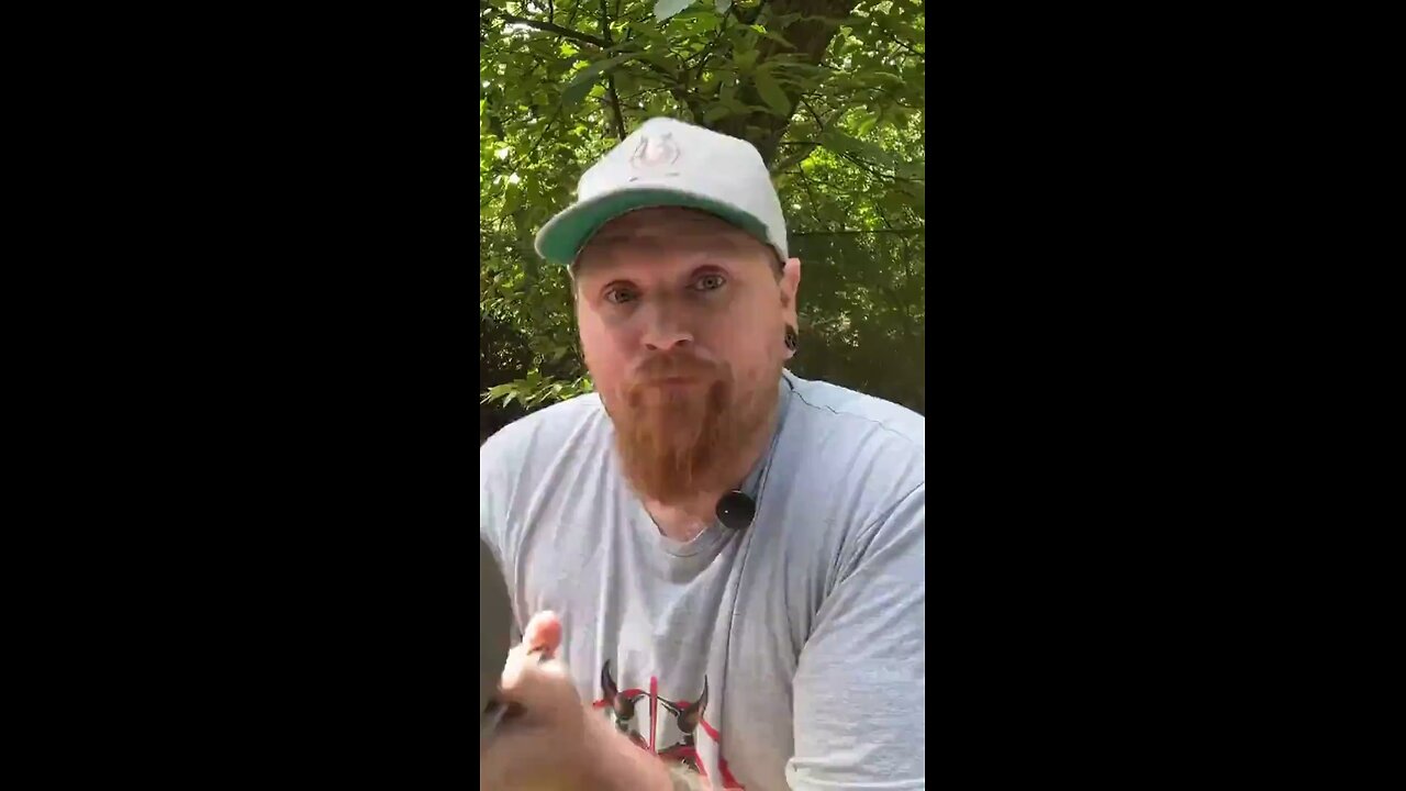 Toms targets bell target