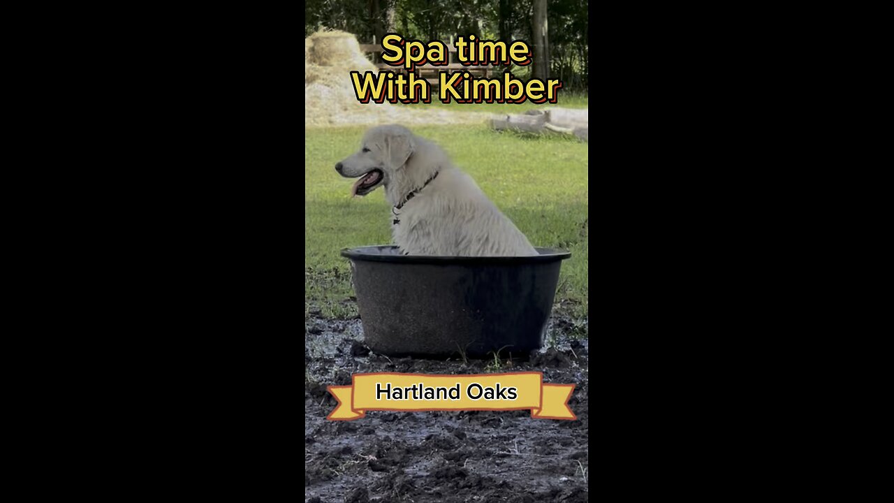 Kimber is reminding everyone to find sometime to unwind and relax.