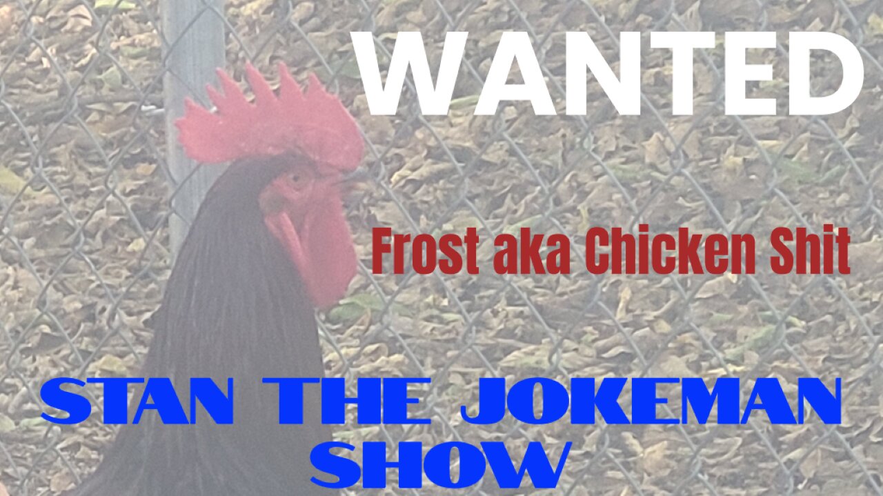 Chickens 101: Lesson #12 'The Chicken Sh*t Diarrhea Mystery'