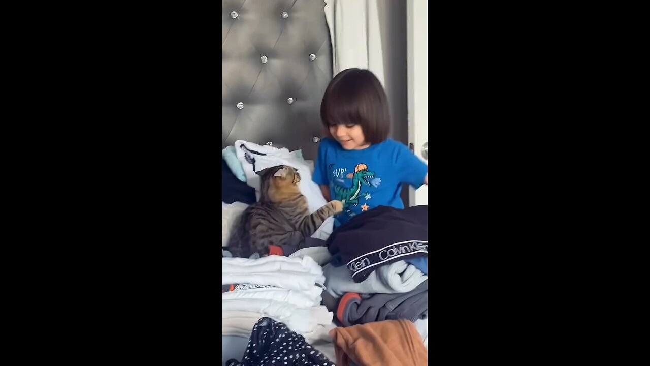 Don't blame me.. You started it 😹😺