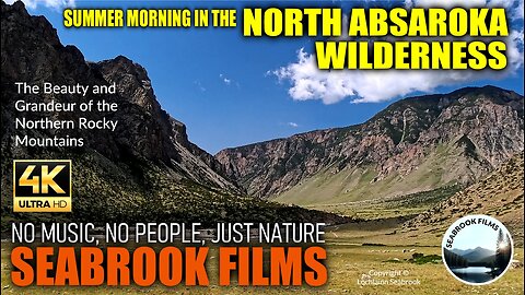 Summer Morning in the North Absaroka Wilderness