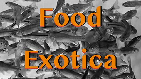 Live consumption 🐟