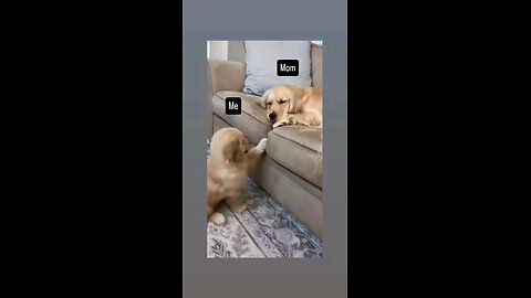 ओ मम्मी मम्मी ओ माता