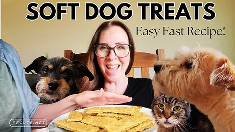Organic Soft DOG TREAT Recipe | BEST Cat & Dog Carrier Review