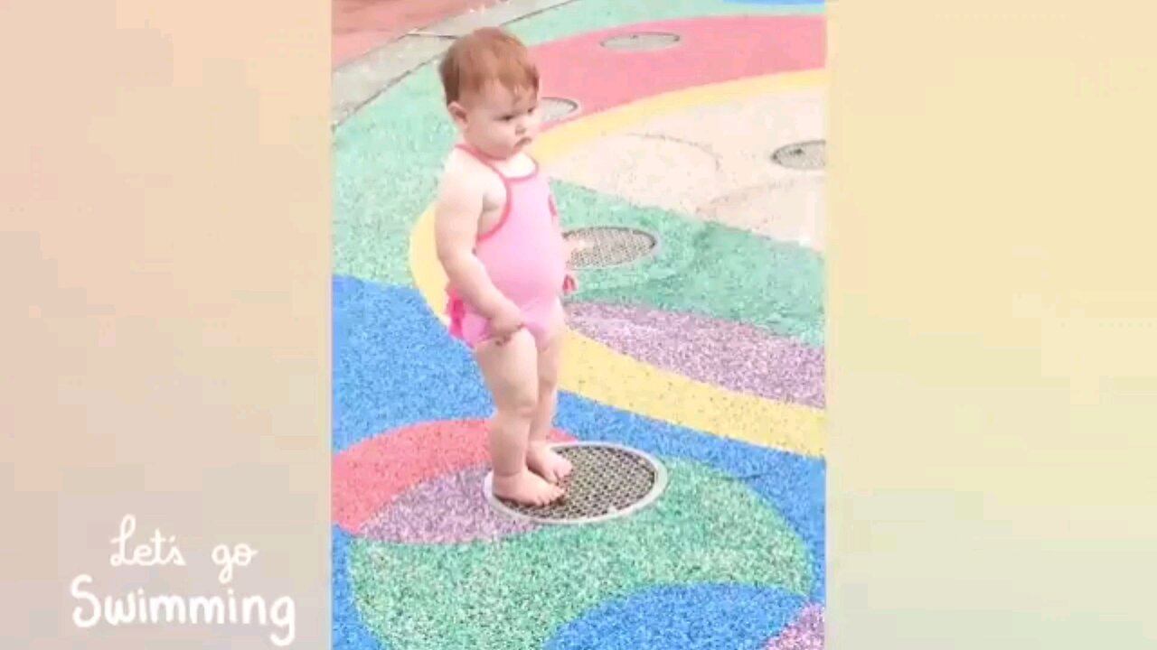 funny videos