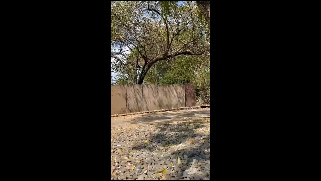 एक विज्ञापन ऐसा भी 😷🤕🚴‍♂️🚴‍♂️