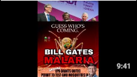 "Bill Gates and His Fight Against Malaria"