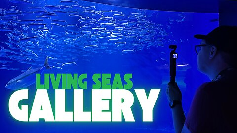 Exploring the DEEPEST Ocean - Birch Aquarium's NEW Living Seas Gallery!