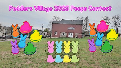 Peddlers Village 2025 Marshmallow Peeps Contest, Lahaska, PA