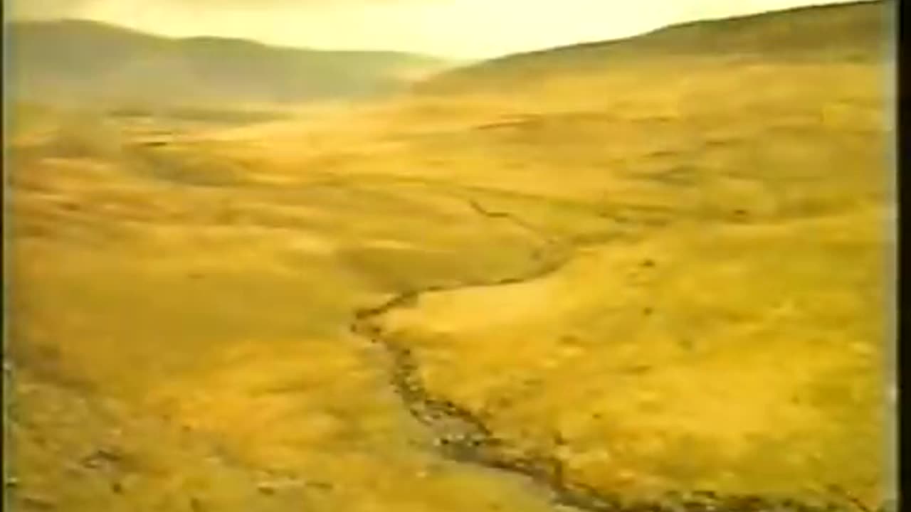 The Last Druid - Ben McBrady of the Old Gaelic Order