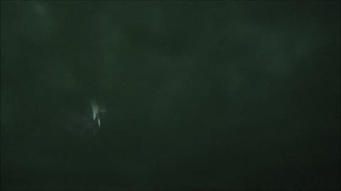 UFO IDENTIFIED Circulating Close Over Adelaide 21 November 2025