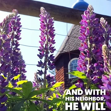 Peace Overcomes The Passions