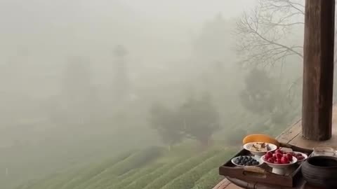 Lazy rainy Day