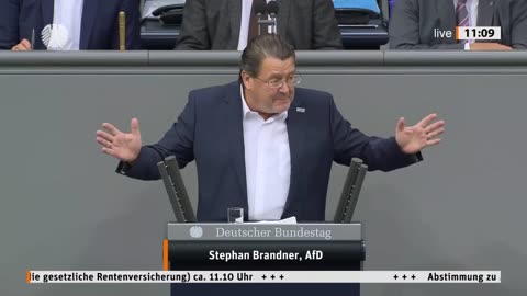 Getroffene Hunde bellen! - Stephan Brandner - Fraktion im Bundestag