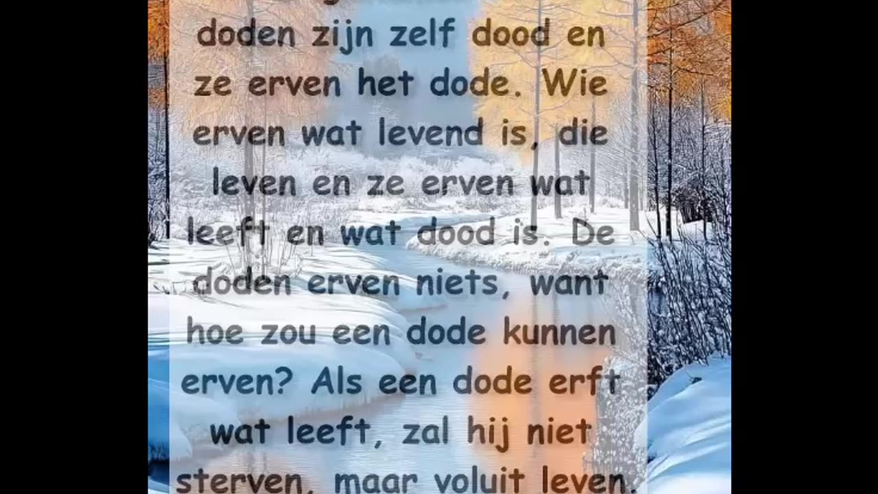 De erfgenamen van