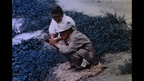 Yokosuka Naval Yard and Oppama Village Life Japan 1945 - Original Color Footage