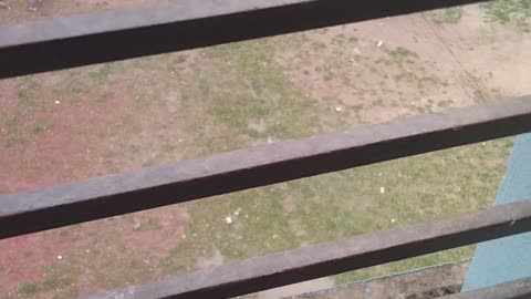 Kids are playing in Bangladesh