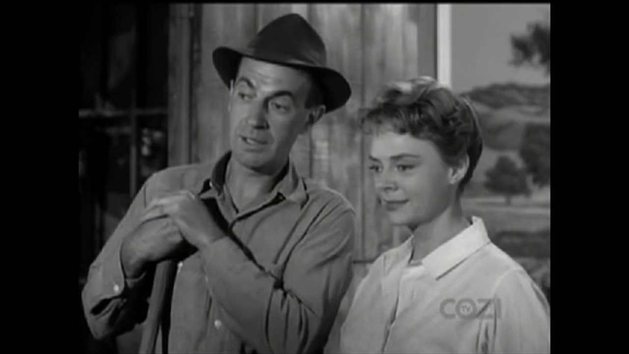 Lassie - Episode 203 - 'Homing Pigeon'