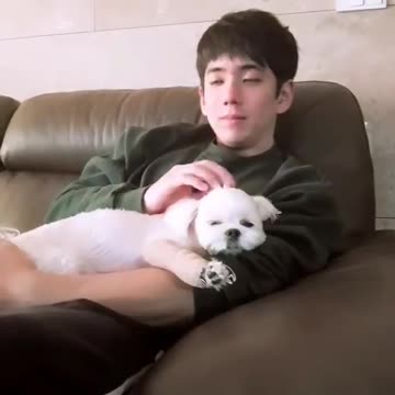 Blackpink Jisoo Brother Kpop 2025