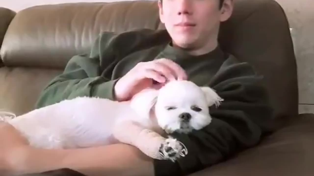 Blackpink Jisoo Brother Kpop 2025