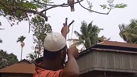 Epic Fail. I thought for sure that bird would end up in bird heaven.