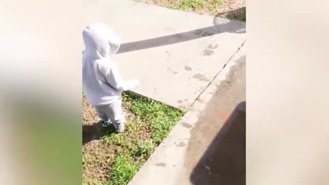 Funny kids video compilation