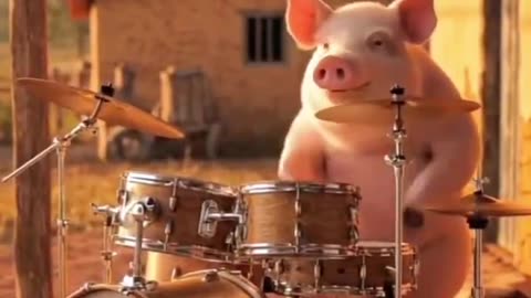 "The Animal Kingdom Live"