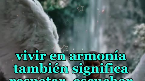 REFLEXIÓN 💫 🤍 🙏 ❤️ ♥️ 💕 💫 🤍