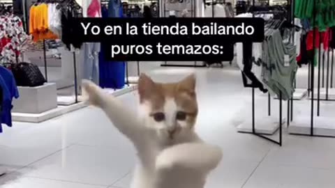 Los hits de Zara