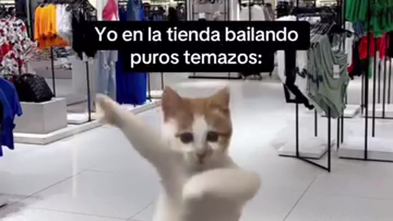 Los hits de Zara