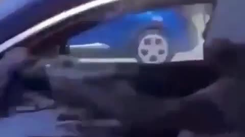 😭😭😭 This Can't Be Real! Unexpected Moment Caught on Camera | FunFM
