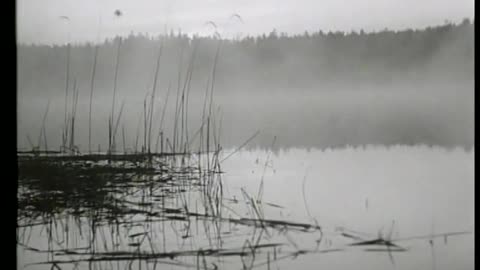 Åsa-Nisse på hal is 1954