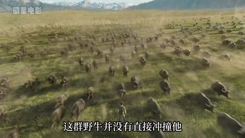 amazing video