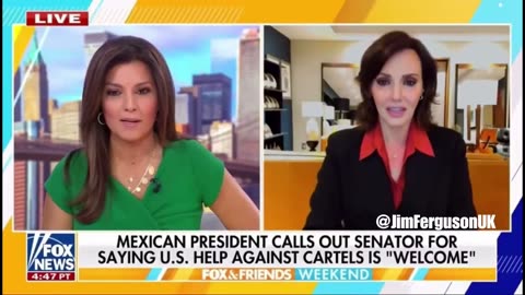 🚨 Senator Tellez EXPOSES SHEINBAUM–CARTEL ALLIANCE on FoxNews