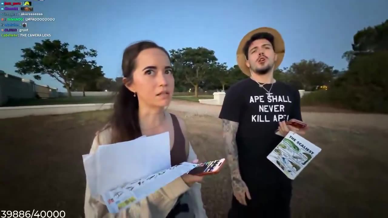 Trees Detect Giraffes & Turn Leaves Bitter – Maya Schools Adapt